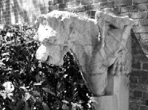 gargoyle 1