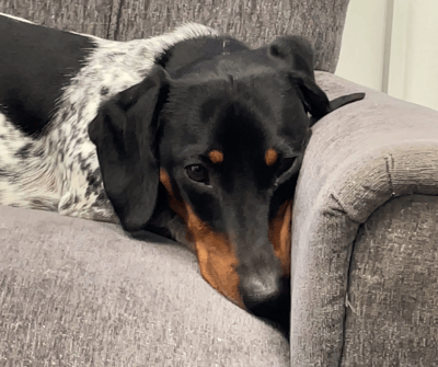 hogarth is a mood FB